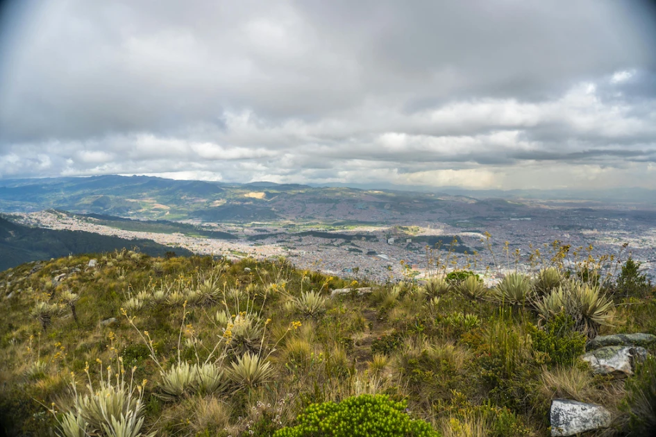 Howdy Bogotá - Chapinero